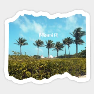 Palm trees photo Miami Florida blue sky palmtree landscape USA nature lovers Sticker